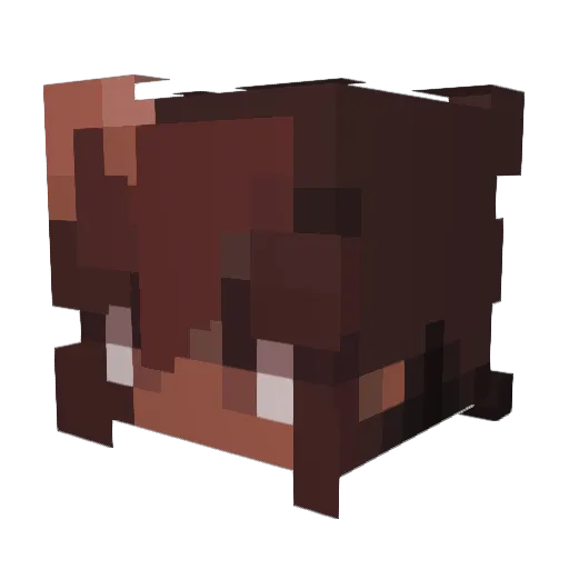 MagicalLiz Minecraft avatar head, 3D render