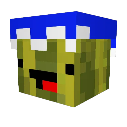 MagicalMelon1437 Minecraft avatar head, 3D render