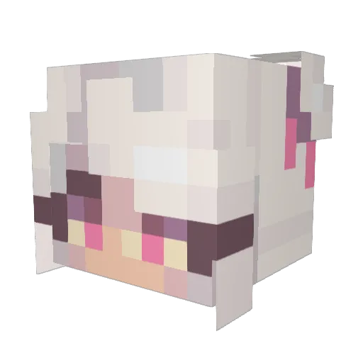 Magical_Hobo Minecraft avatar head, 3D render