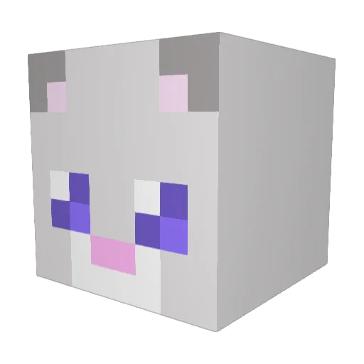 Magicalanimecat Minecraft avatar head, 3D render