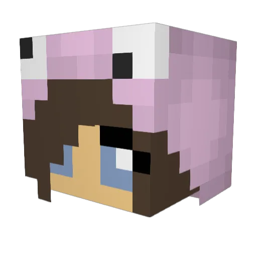 Magiccookies123 Minecraft avatar head, 3D render