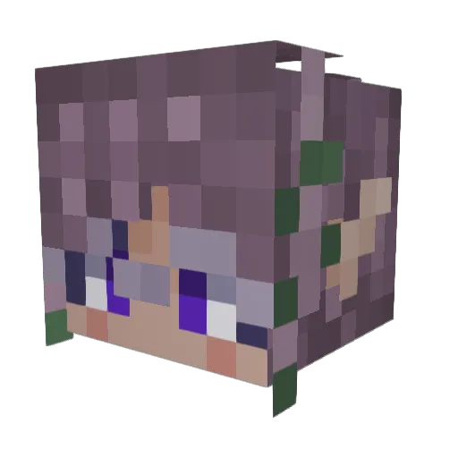 MagickStardust Minecraft avatar head, 3D render