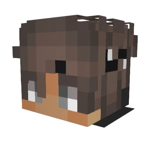 Magicpanda55 Minecraft avatar head, 3D render