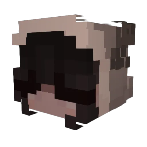 Magicplayz Minecraft avatar head, 3D render