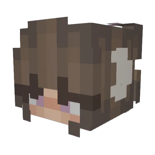 Magiestar42 Minecraft avatar head, 3D render