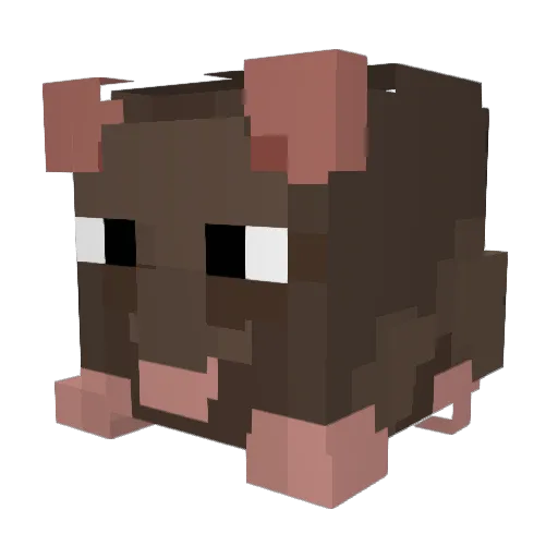 MagikRat Minecraft avatar head, 3D render