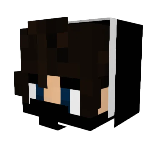 MagikVC Minecraft avatar head, 3D render