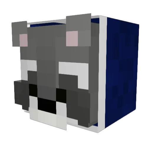 Magik_BZH Minecraft avatar head, 3D render