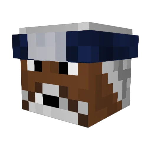 Magik_Narwhal Minecraft avatar head, 3D render
