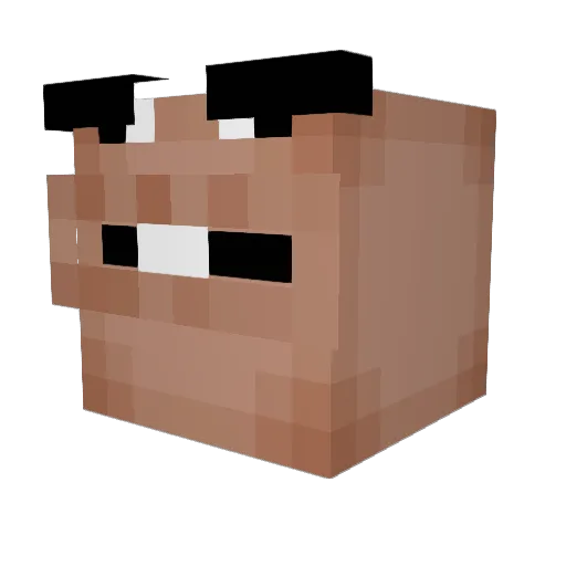 MagikarpOnAStick Minecraft avatar head, 3D render