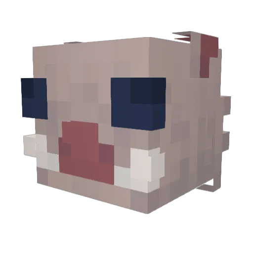 Magikscubes Minecraft avatar head, 3D render