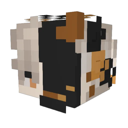 Magiluxe7011 Minecraft avatar head, 3D render