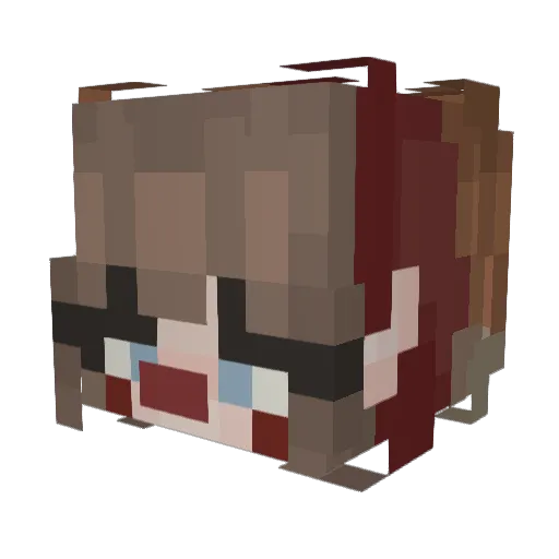 MagisterFroggie Minecraft avatar head, 3D render
