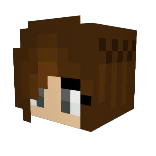 Magisto72 Minecraft avatar head, 3D render