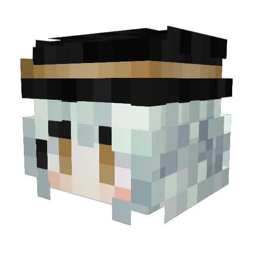 Maglr Minecraft avatar head, 3D render