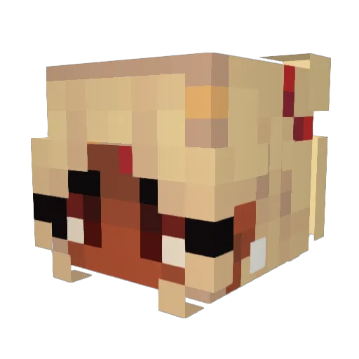 MagmaFox Minecraft avatar head, 3D render