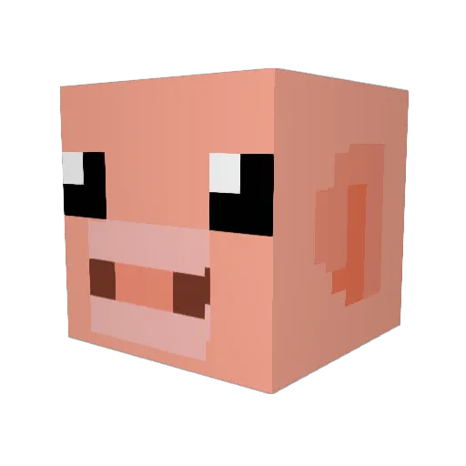 Magmahunter253 Minecraft avatar head, 3D render