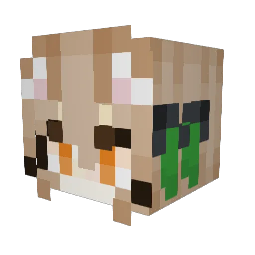 MagmarNinja Minecraft avatar head, 3D render