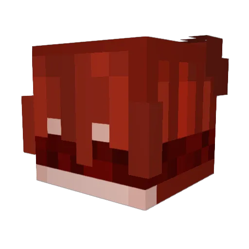 Magmatic_Moss Minecraft avatar head, 3D render