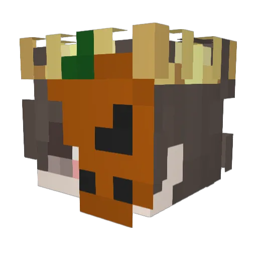 Magnat_66 Minecraft avatar head, 3D render