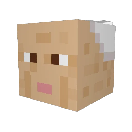 Magne666 Minecraft avatar head, 3D render