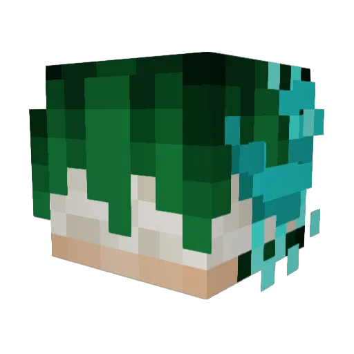 Magnesium2431 Minecraft avatar head, 3D render