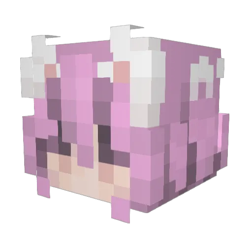 Magnetictunic69 Minecraft avatar head, 3D render
