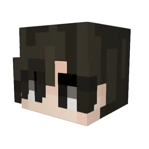 MagnetonPlayer_2 Minecraft avatar head, 3D render