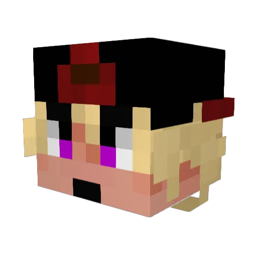 MagnoSPEED Minecraft avatar head, 3D render