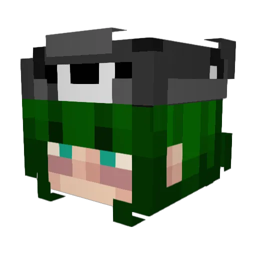 MagnoliaMoon Minecraft avatar head, 3D render