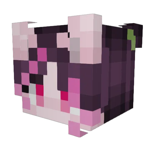 Magnolia_V_Rose Minecraft avatar head, 3D render