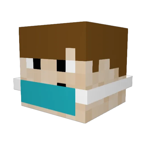 Magnoliarules2 Minecraft avatar head, 3D render