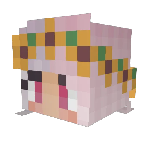 Magnorheal Minecraft avatar head, 3D render