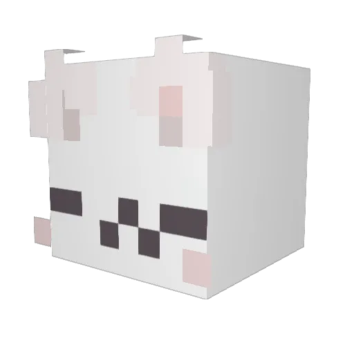 MagnumF1sh Minecraft avatar head, 3D render