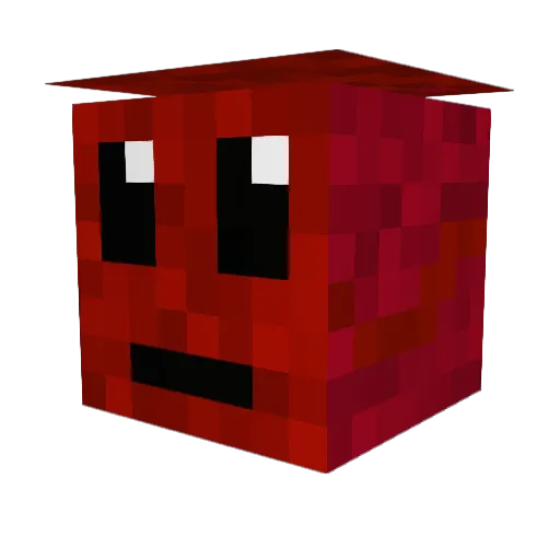 Magnus232 Minecraft avatar head, 3D render