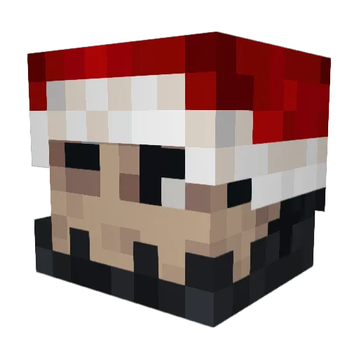 Magnus2404 Minecraft avatar head, 3D render