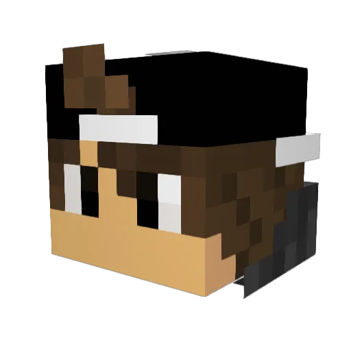 MagnusBasse Minecraft avatar head, 3D render