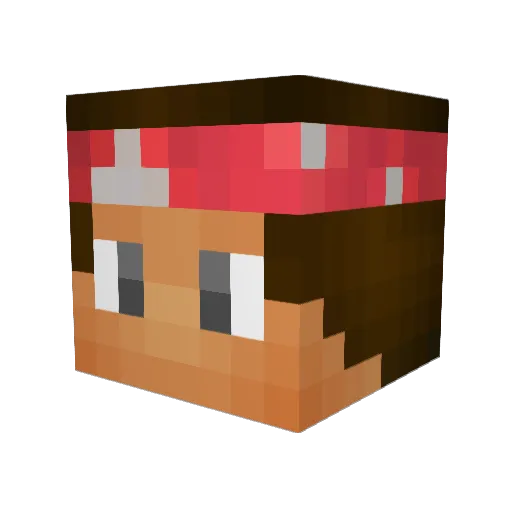 MagnusDerGrose Minecraft avatar head, 3D render