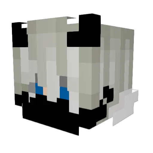 MagnusGamer1234 Minecraft avatar head, 3D render