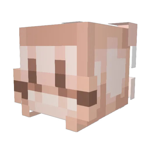 Magnusgamer2812 Minecraft avatar head, 3D render