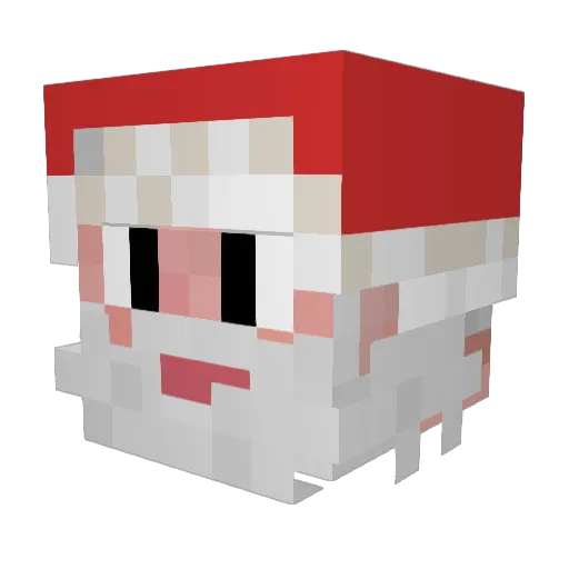 Magoo20 Minecraft avatar head, 3D render