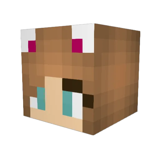 Magpickles10 Minecraft avatar head, 3D render