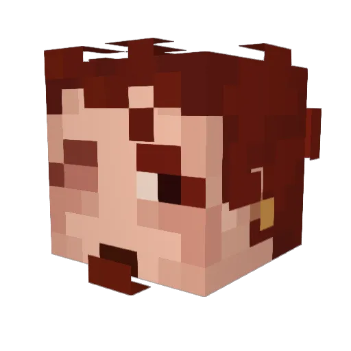 Magpie0917 Minecraft avatar head, 3D render