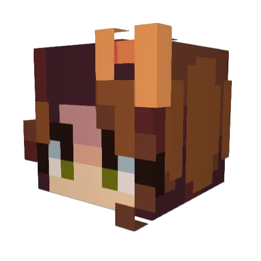 Magpie9792 Minecraft avatar head, 3D render