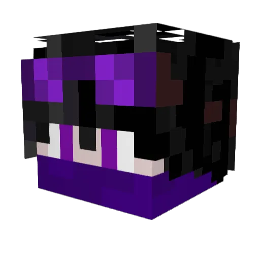 MagpieMoment_ Minecraft avatar head, 3D render