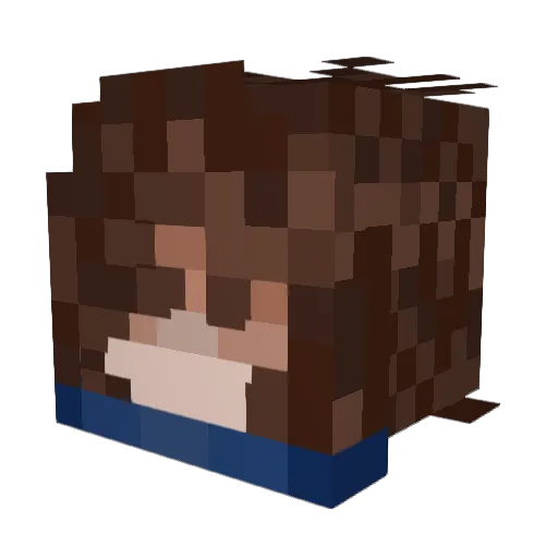 MagpieWattle Minecraft avatar head, 3D render