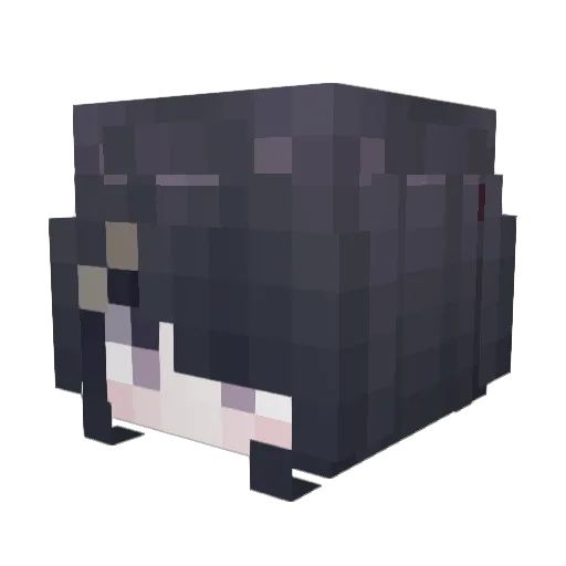 Magpie_lp Minecraft avatar head, 3D render