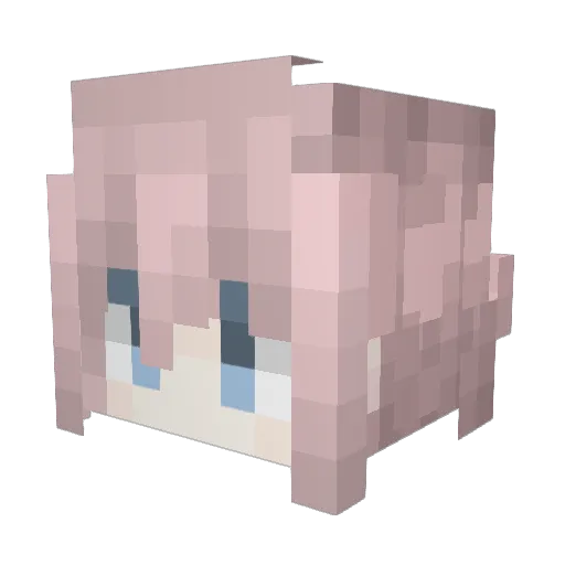 Maguagua Minecraft avatar head, 3D render