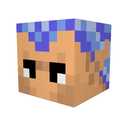 Magus8764 Minecraft avatar head, 3D render