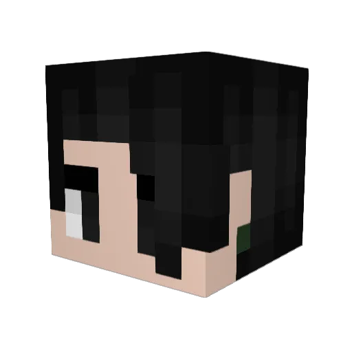 MagusZero Minecraft avatar head, 3D render